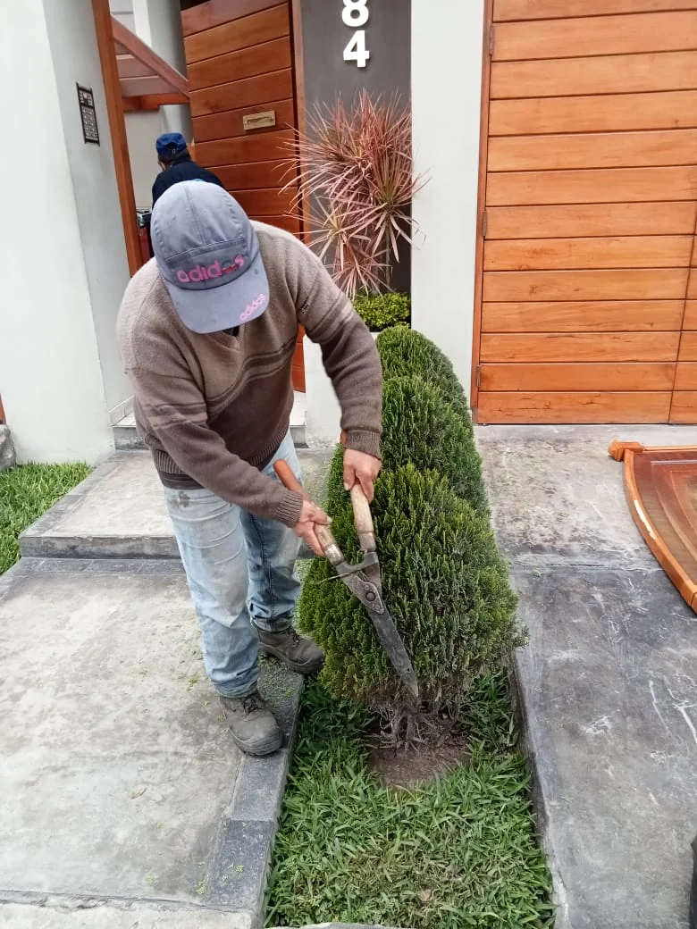 Jardinería y áreas verdes